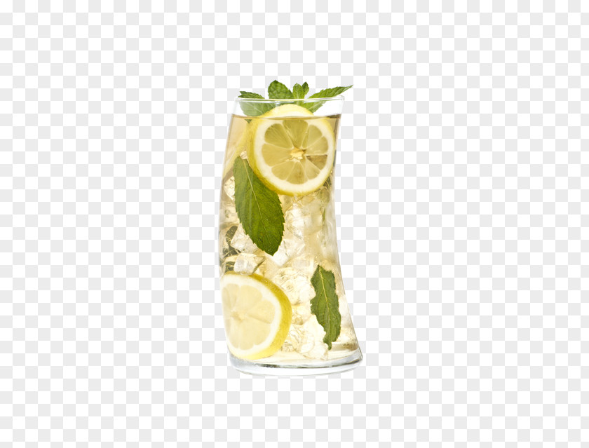 Lemonade Lemon Juice Iced Tea Mojito Limeade PNG