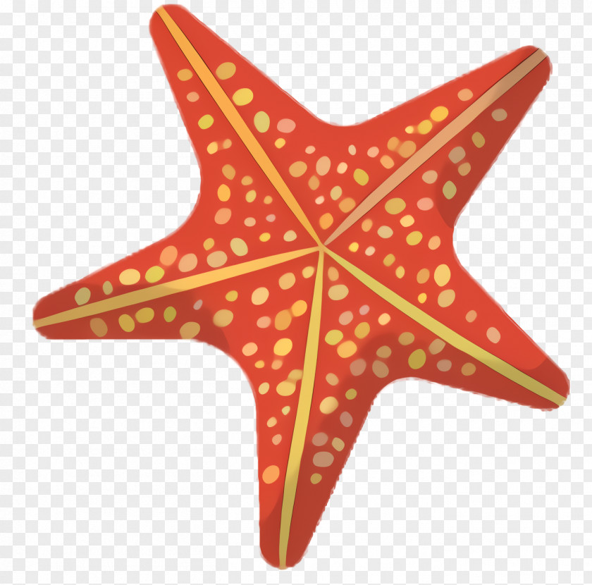 Star Starfish Cartoon PNG