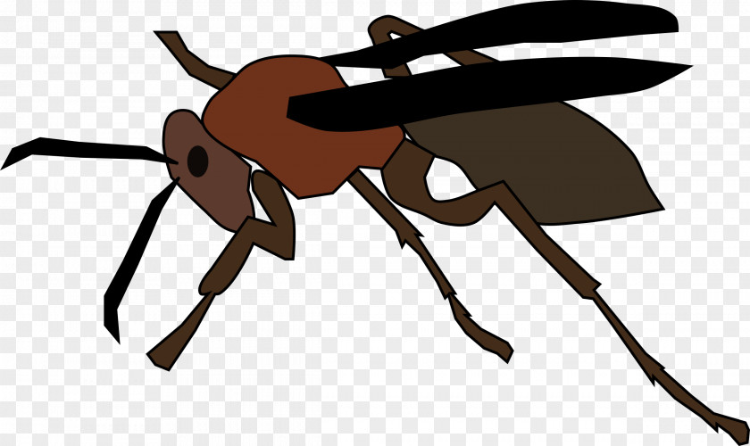 Wasp Ant Paper Clip Art PNG