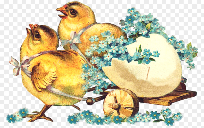 Chick Decoupage Easter Egg Holiday Scrapbooking PNG