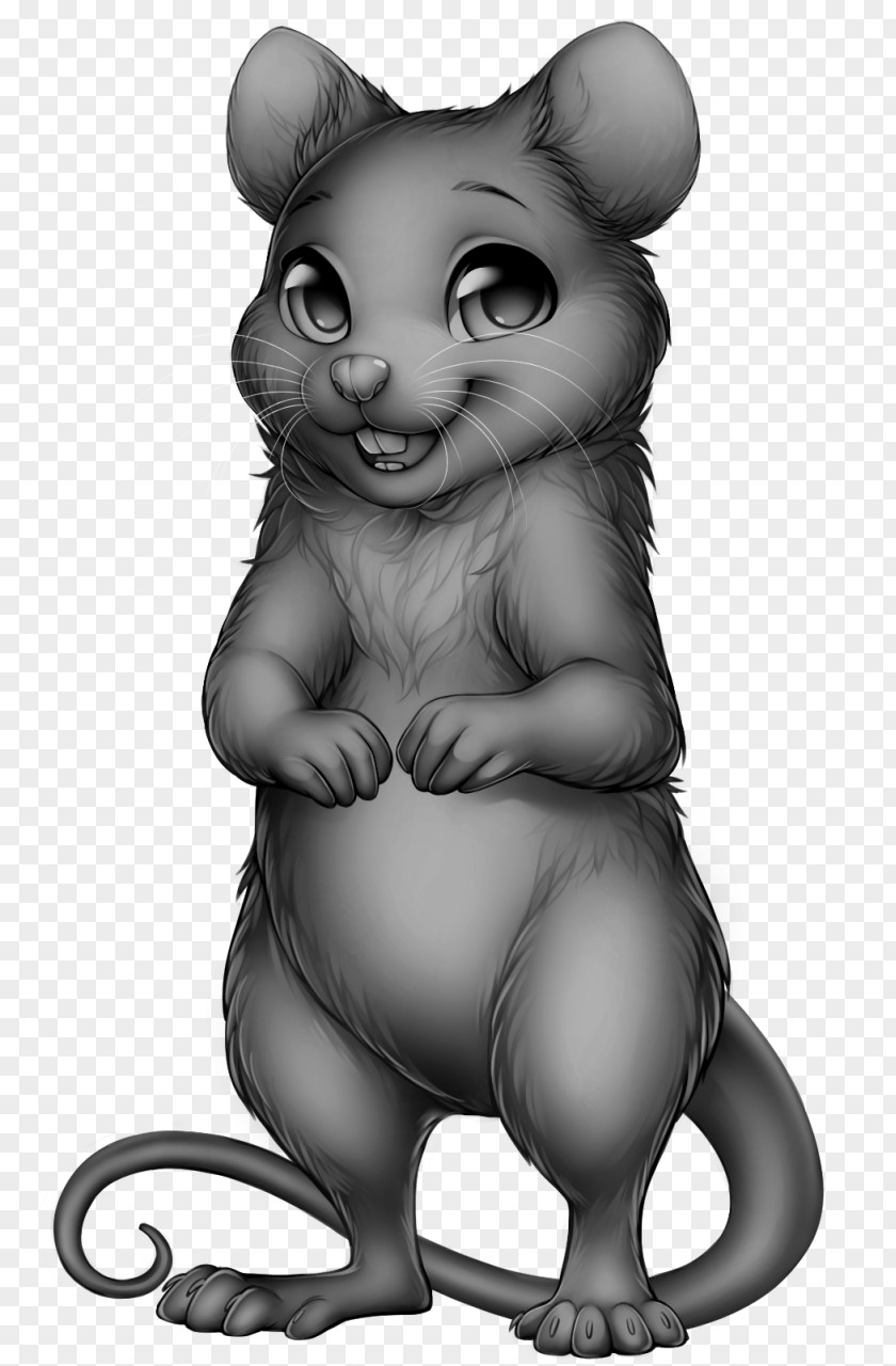 Mouse Rat Rodent Whiskers Cat PNG