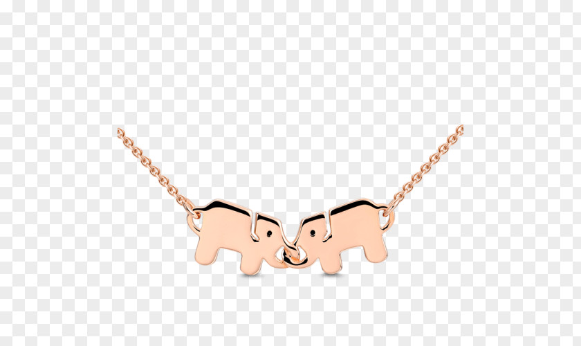 Necklace Amazon.com Charms & Pendants Silver Jewellery PNG
