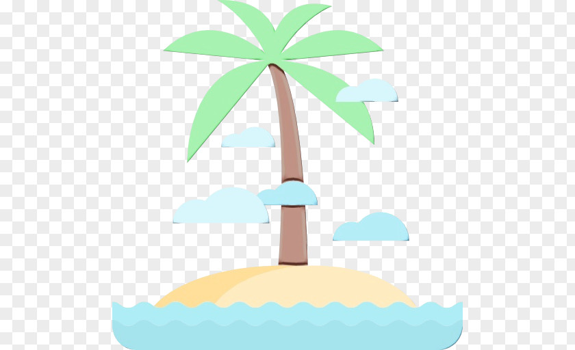 Plant Arecales Palm Tree PNG