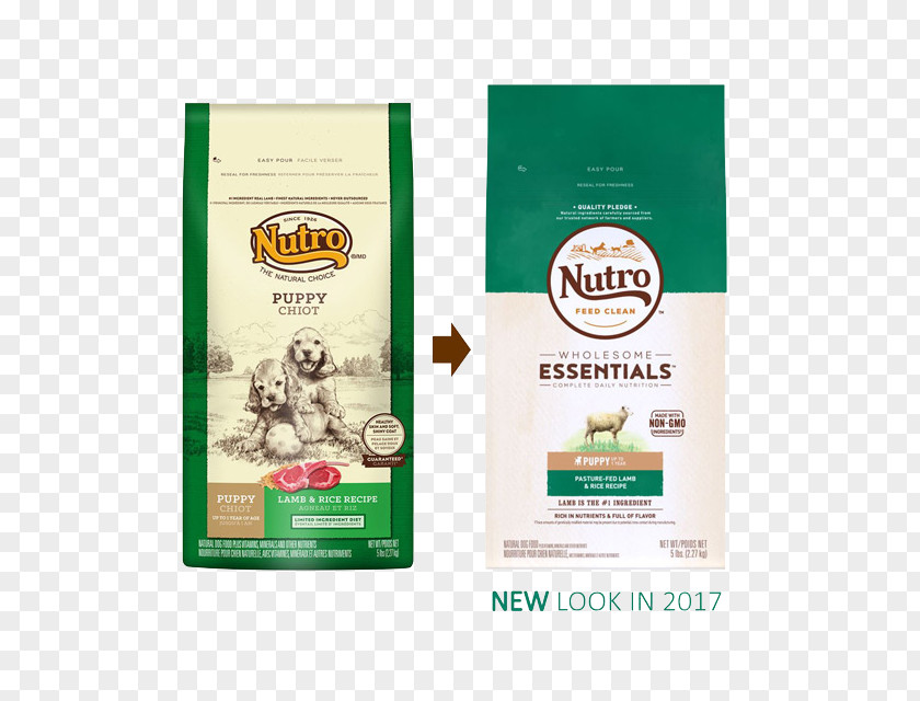 Puppy Dog Food Nutro Products Pet PNG
