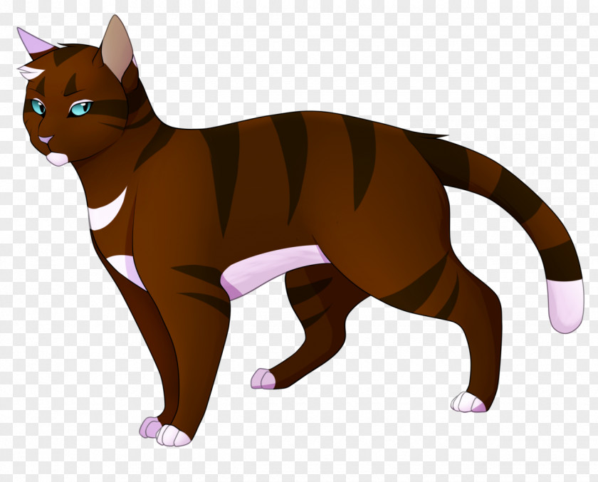 A Difficult Help Comes From All Quarters Kitten Whiskers Cat Warriors Hawkfrost PNG