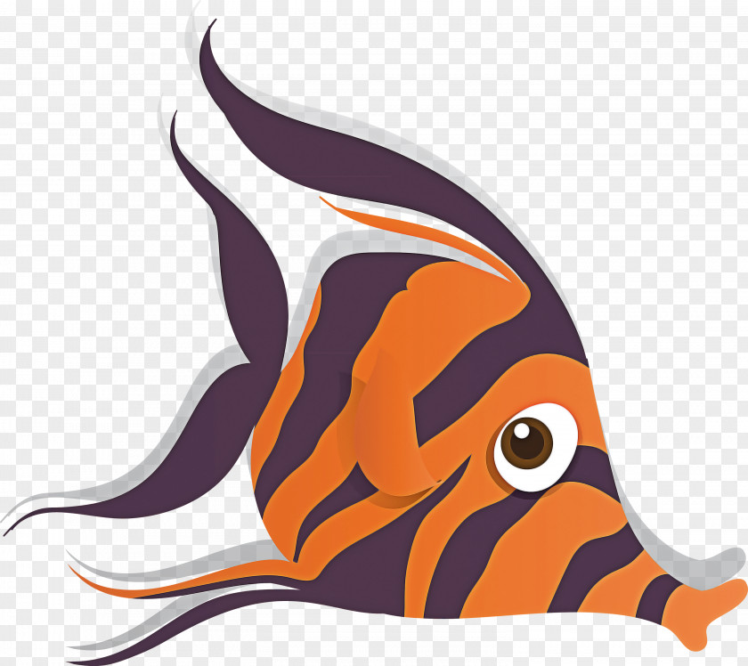 Fish Pomacanthidae Fin Pomacentridae PNG