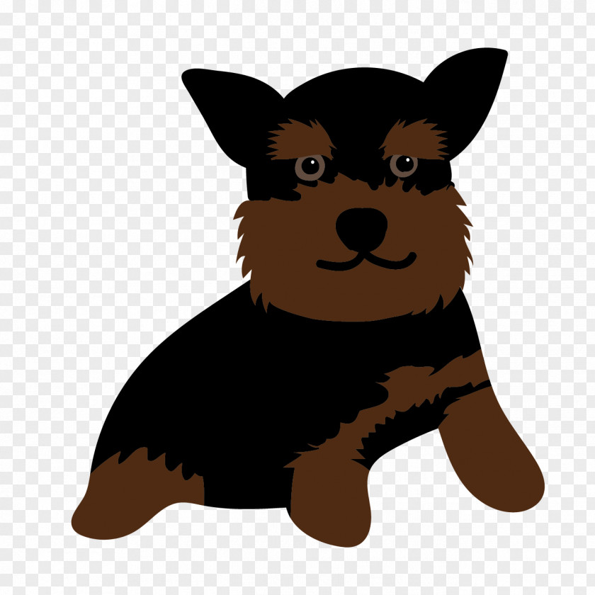 Puppy Yorkshire Terrier French Bulldog Whiskers PNG