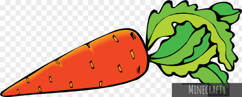 Carrot Clip Art PNG