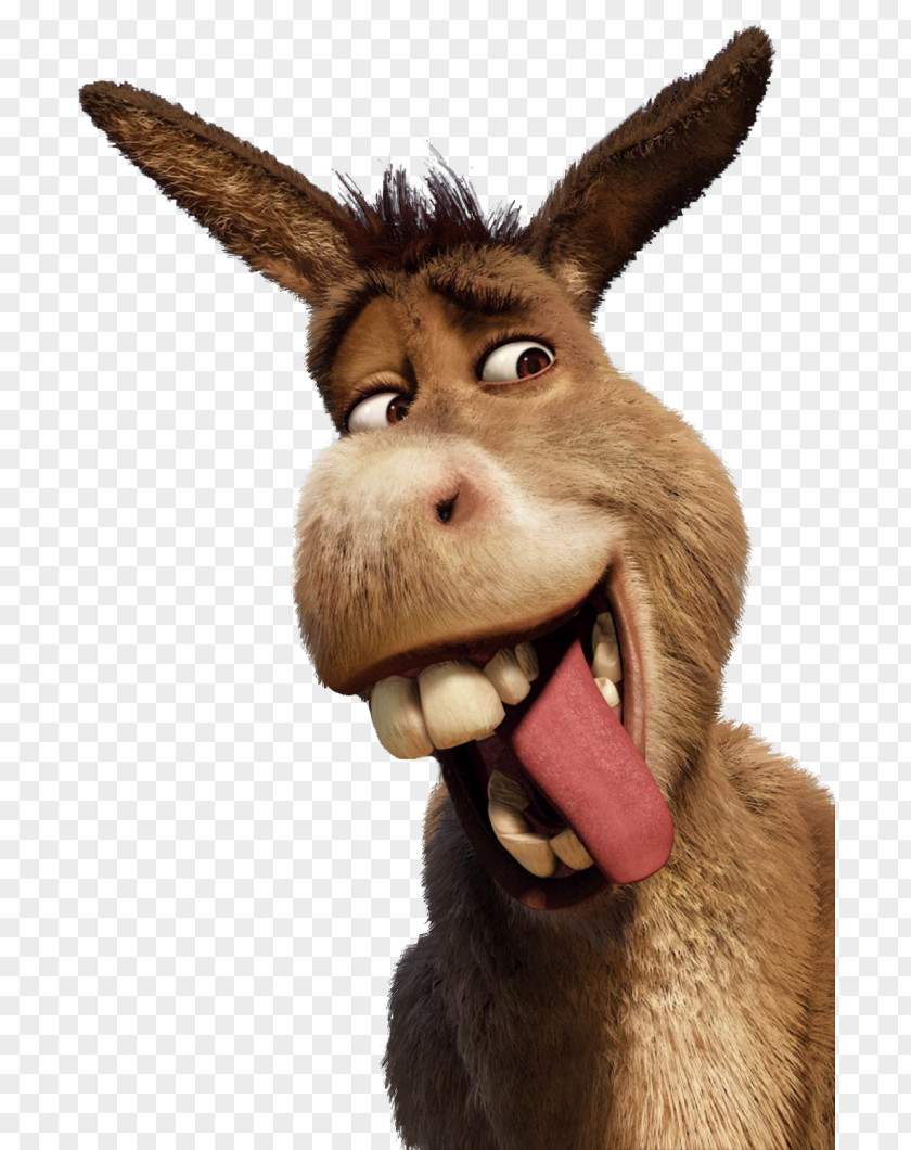 Donkey Princess Fiona Shrek The Musical YouTube Lord Farquaad PNG