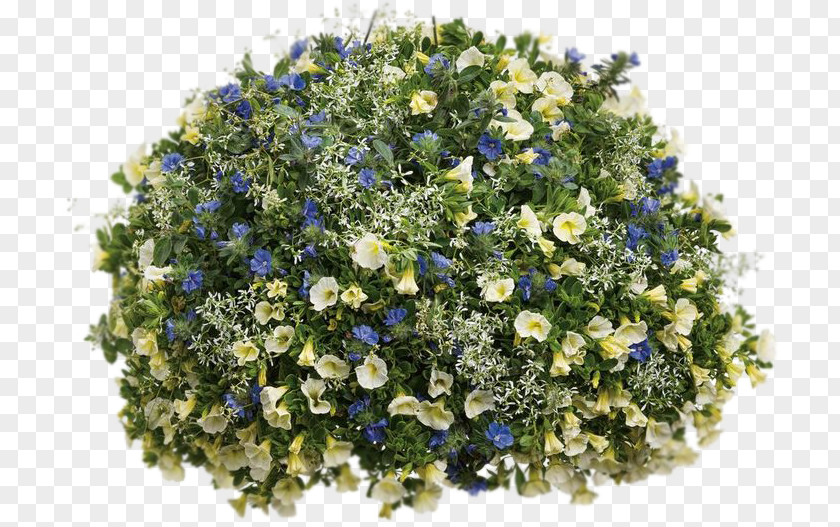 Flower Floral Design Bouquet Cut Flowers Blue PNG