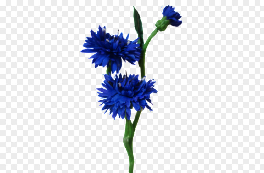 Flower Plant Stem Blue Cut Flowers Artificial PNG