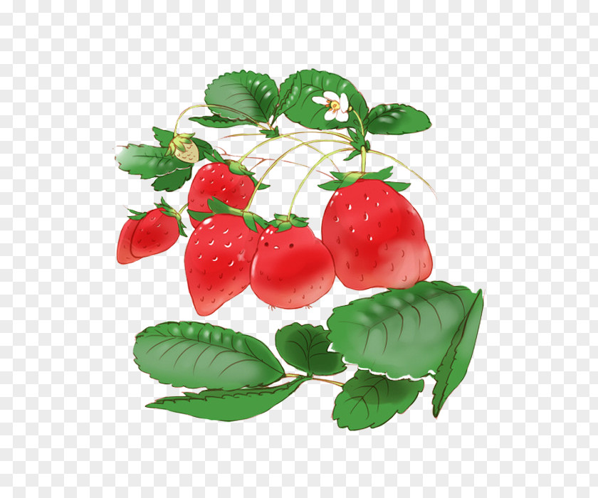 Hand-painted Small Fresh Strawberry Plants Ice Cream Food Shortcake Parfait PNG