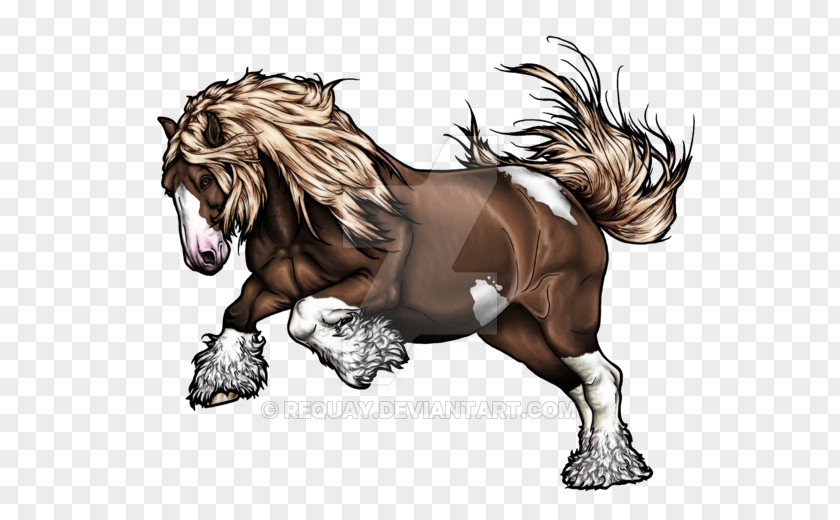 Mustang Gypsy Horse Stallion Pony Arabian PNG