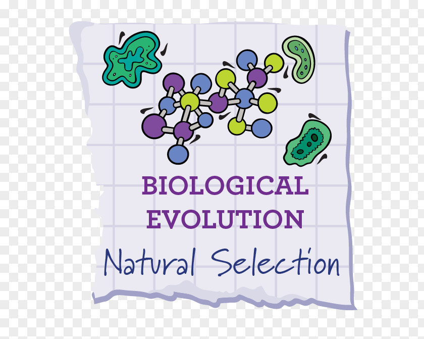 Natural Selection Selective Breeding Evolution Phenotypic Trait Common Descent PNG