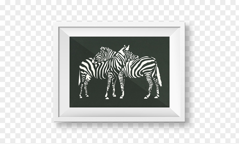 Pepercut Quagga Picture Frames Rectangle White Terrestrial Animal PNG