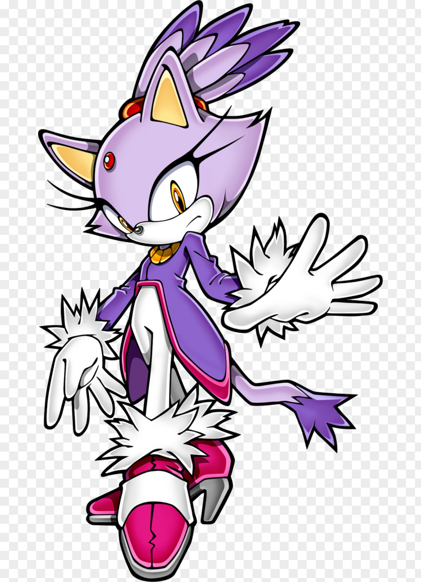 Blaze Sonic Rush The Hedgehog Cat Amy Rose PNG