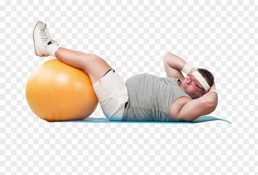 Crunch Abdominal Obesity Adipose Tissue Physical Exercise PNG
