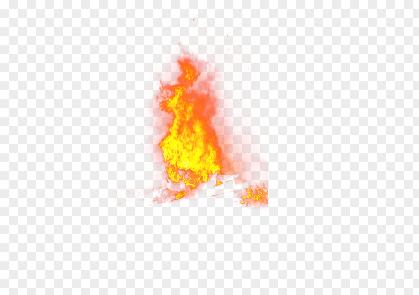 Fire Elemental Flame Euclidean Vector Computer File PNG