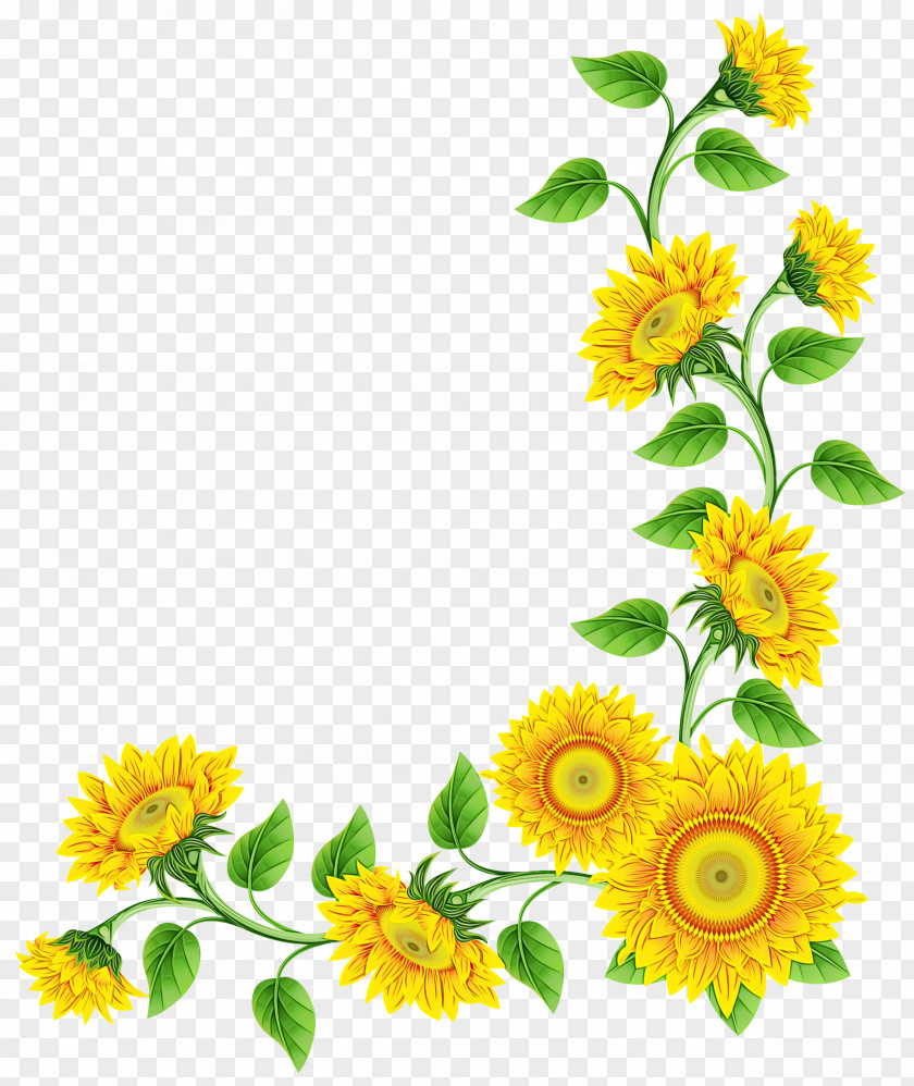 Flower Download Image Pot Marigold PNG