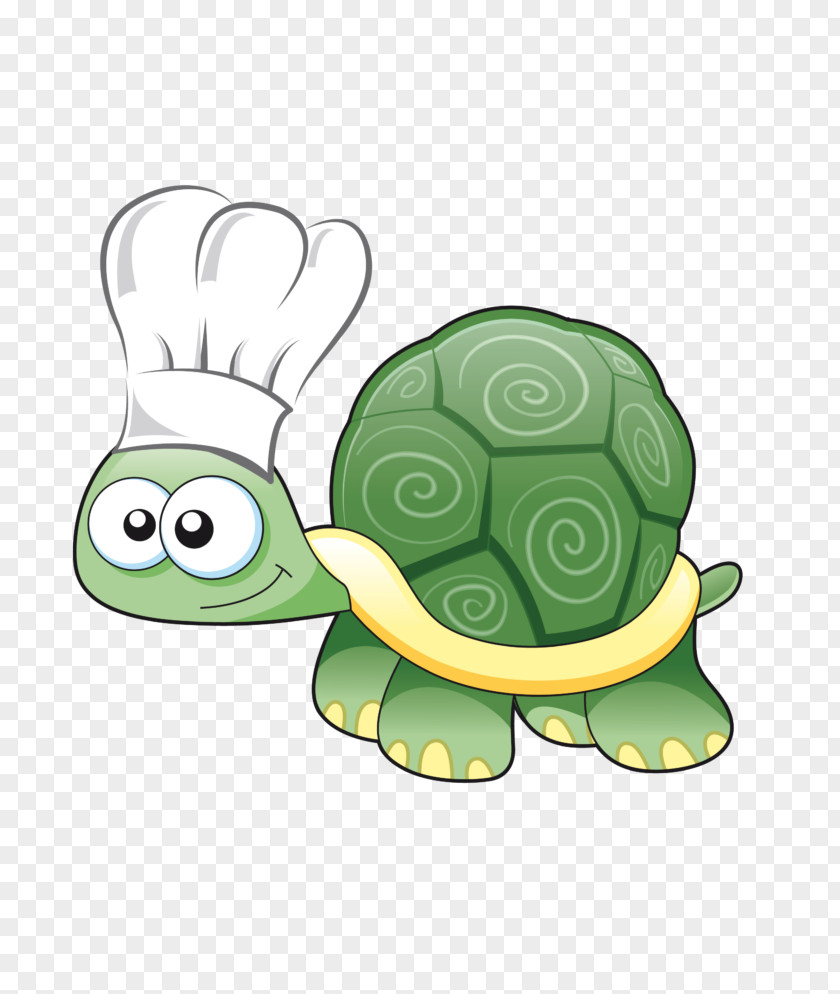 Turtle Clip Art Drawing Image Vector Graphics PNG