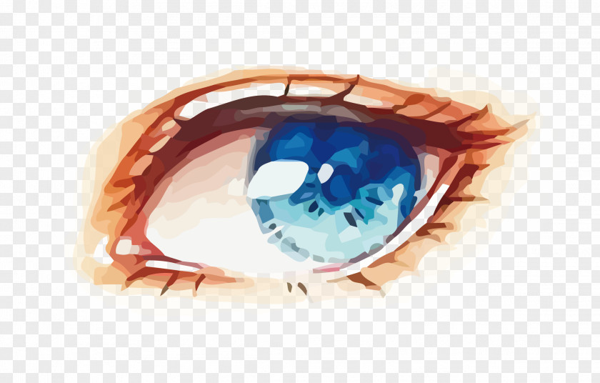Vector Blue Eyes Eye Watercolor Painting PNG