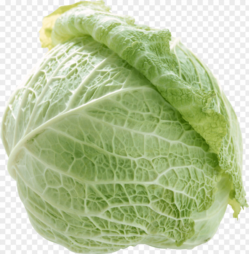 Cabbage Image Napa Capitata Group Chinese Broccoli Vegetable Kale PNG
