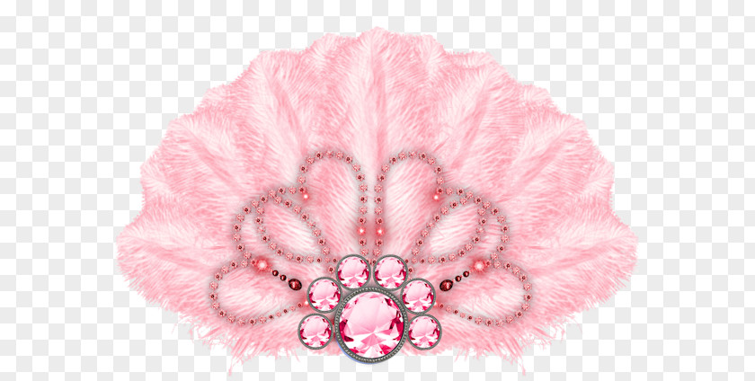 Hand Fan Pink Feather PNG