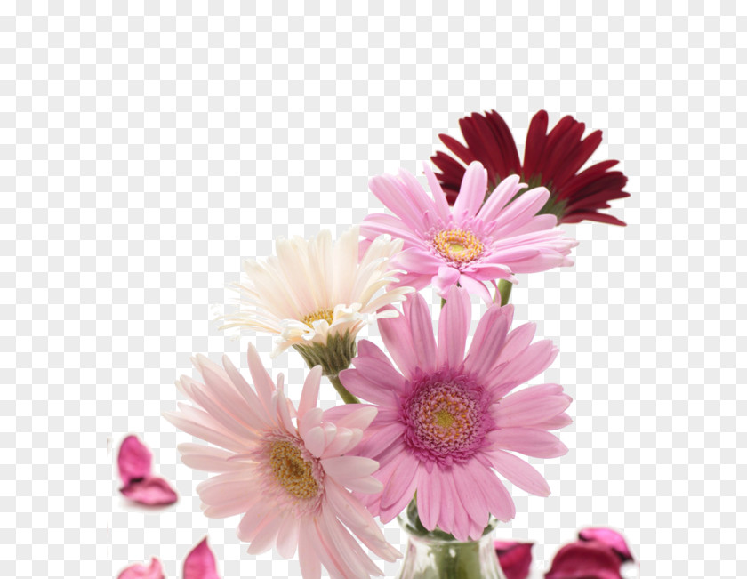 Hand-painted Chrysanthemum Flower Bouquet Transvaal Daisy Garden Roses Clip Art PNG