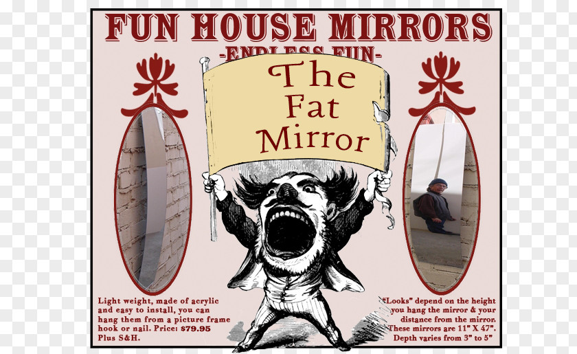 Mirror Distorting House Of Mirrors Image Konvexspiegel PNG