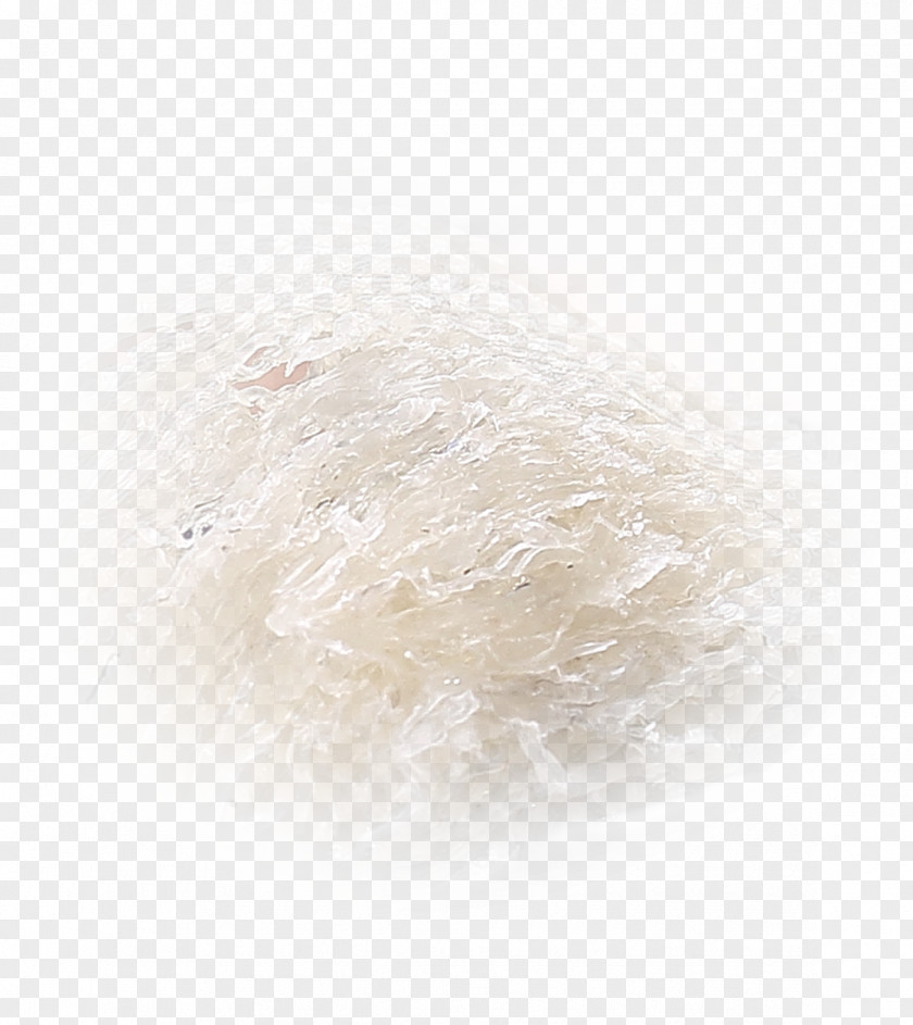 White Bird's Nest Mii PNG