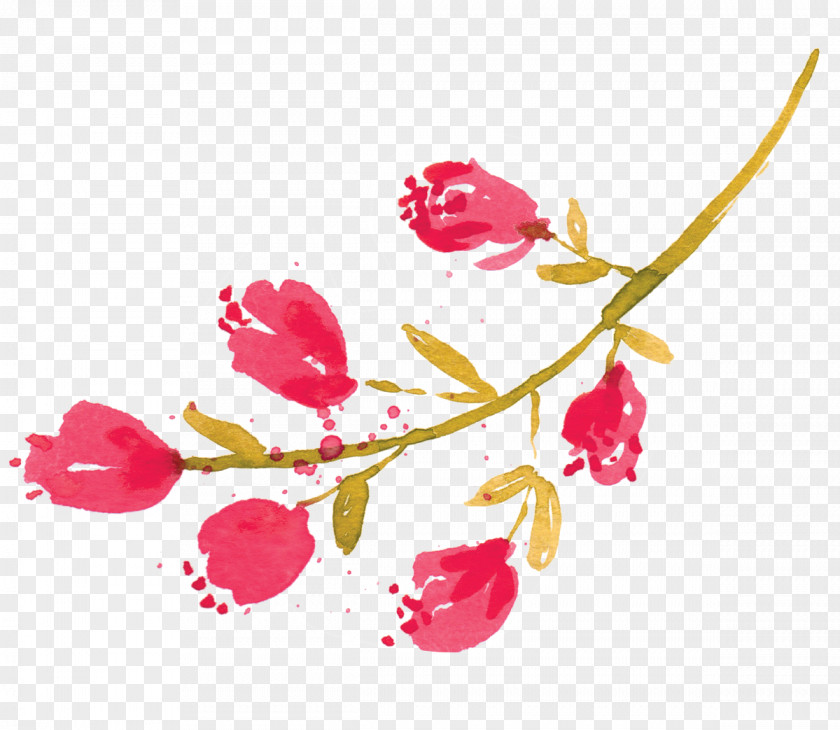 Bud Cherry Blossom Cartoon PNG