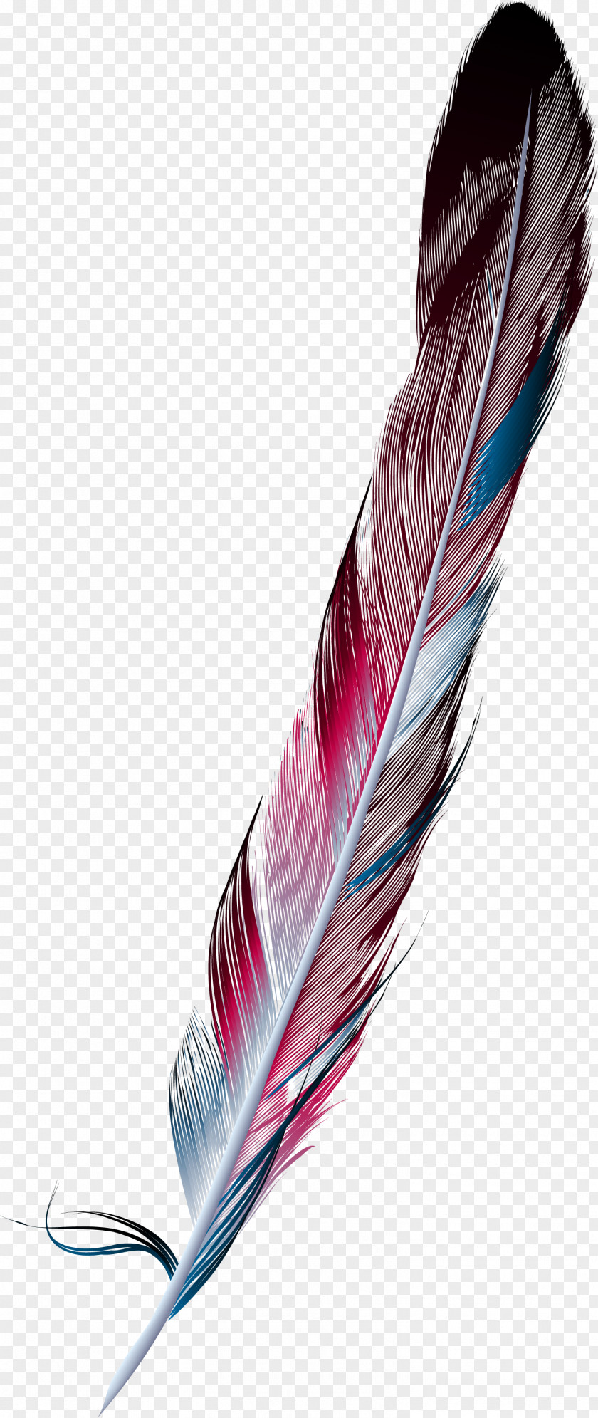 Hand Painted Colorful Feather Painting Drawing PNG