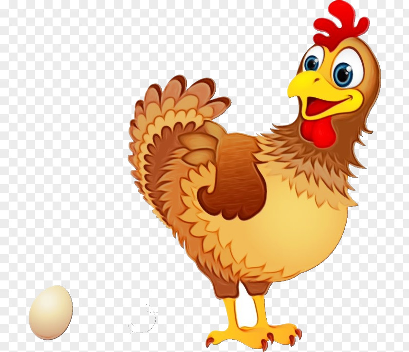 Livestock Beak Chicken Bird Rooster Cartoon PNG