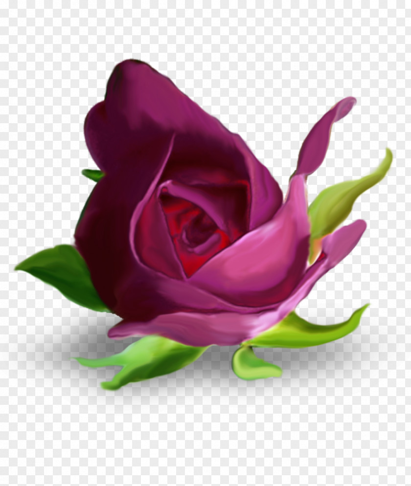 Mystique Garden Roses Flower Purple Letter Alphabet PNG