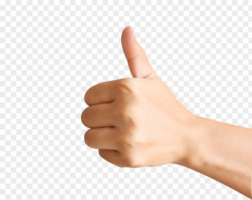 Thumbs Up Thumb Hand Finger Arm Digit PNG