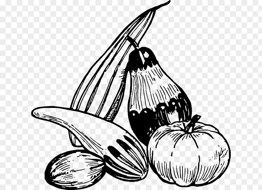 Vegetable Drawing Line Art Clip PNG