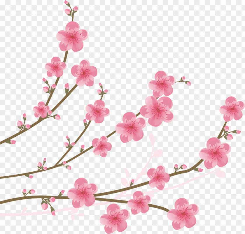 Cherry Blossom Watercolor Clip Art PNG