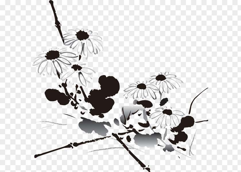 Chrysanthemum China Xd7grandiflorum Budaya Tionghoa Flowering Tea Liqiu PNG
