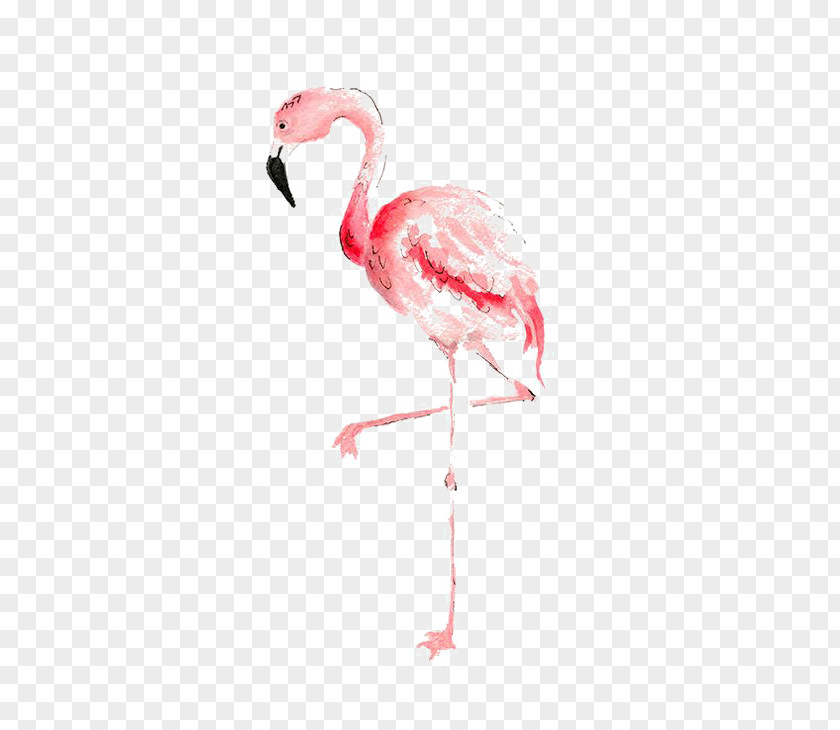 Flamingo Watercolor Painting Drawing PNG painting Drawing, Flamingos, pink flamingo clipart PNG