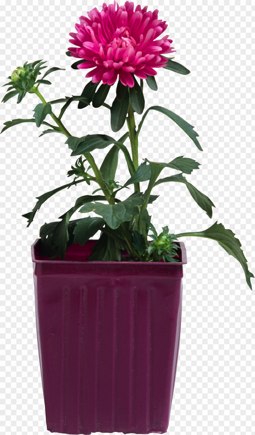 Flower Vase Flowerpot Chrysanthemum Material PNG