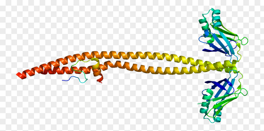 LIG4 Syndrome DNA Ligase Gene PNG