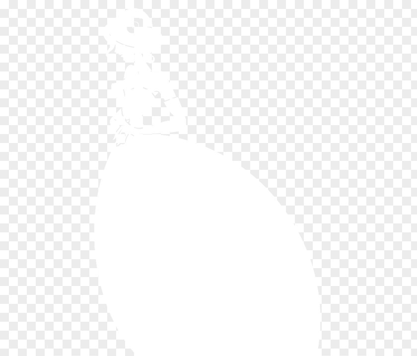 Bride White Pattern PNG