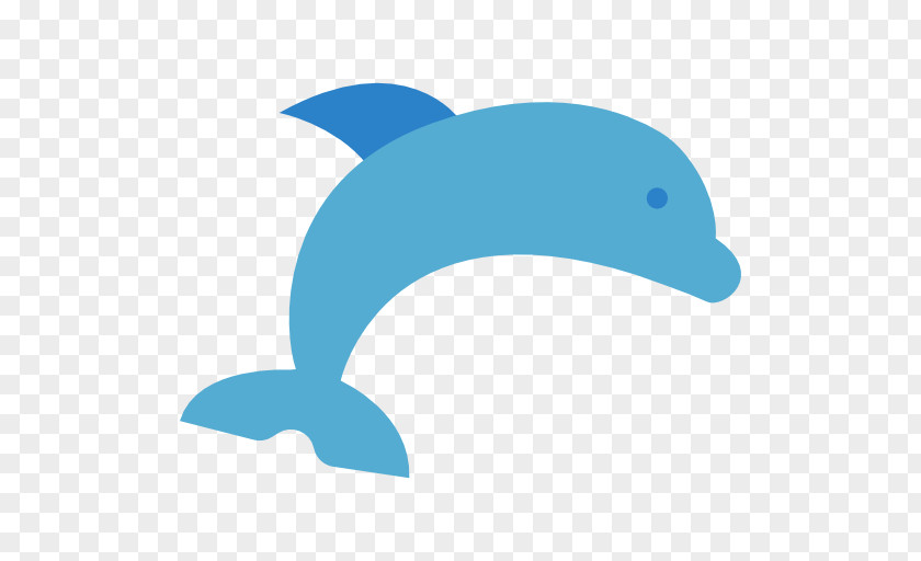 Nature Sea Animals Dolphin Common Bottlenose Tucuxi Clip Art PNG