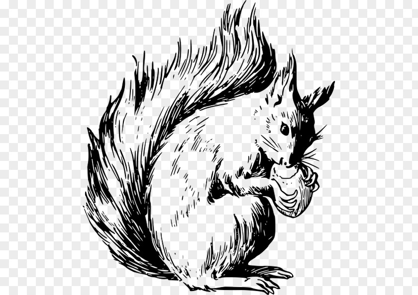 Norway Flying Squirrel Tree Chipmunk Drawing Clip Art PNG