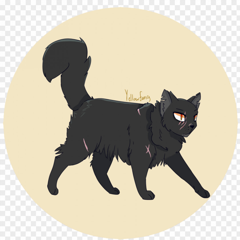 Yellowfang's Secret Black Cat Manx Kitten Whiskers Dog PNG
