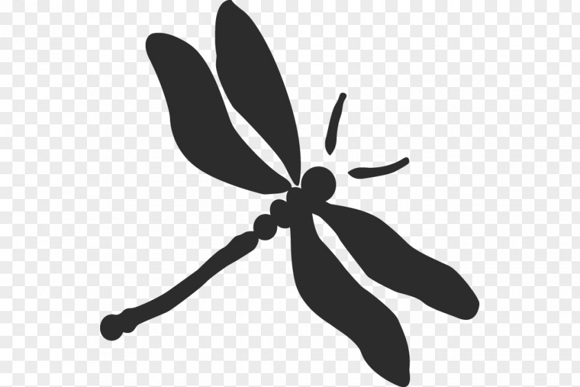 Dragonfly Clip Art PNG