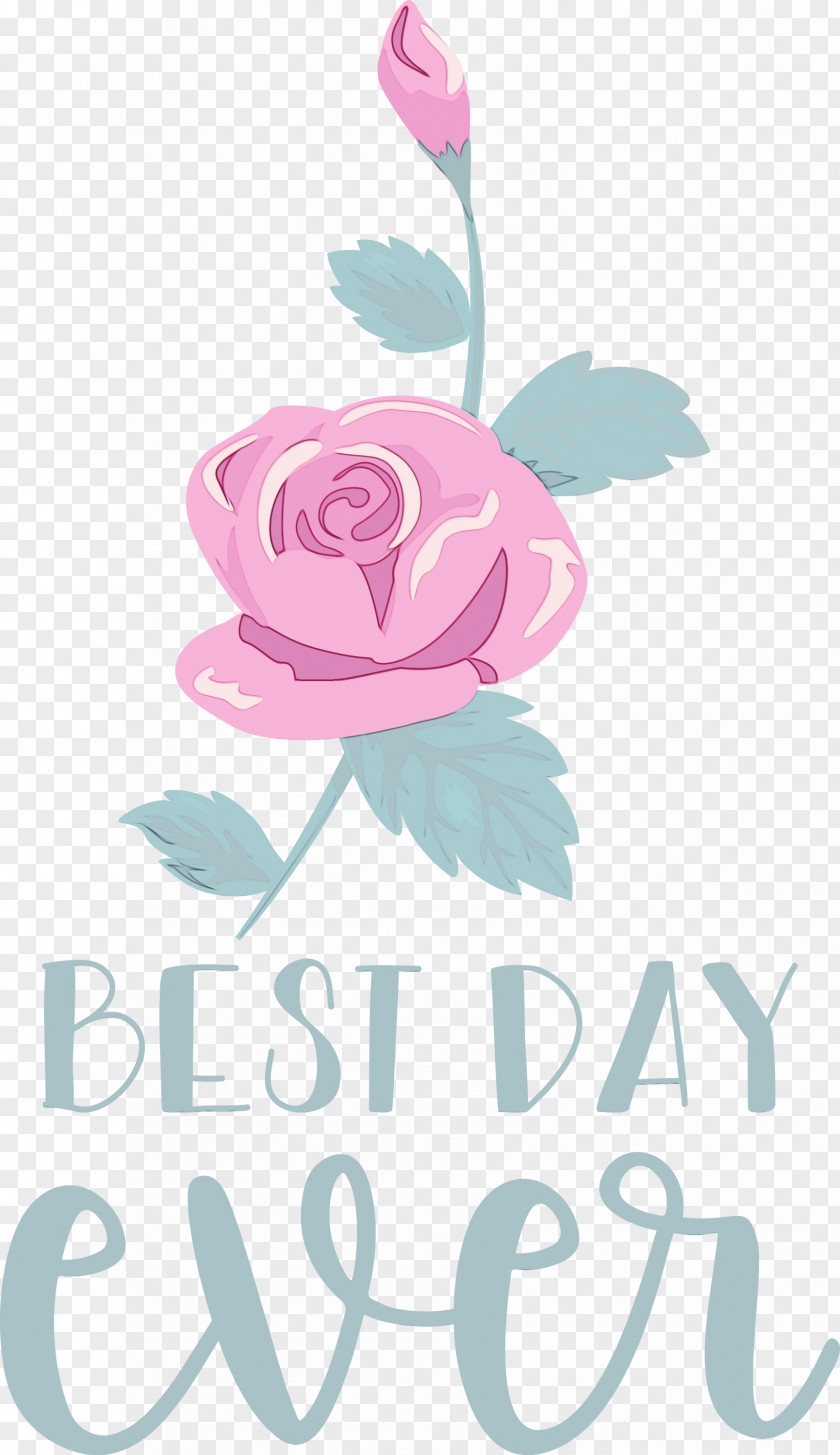 Floral Design PNG