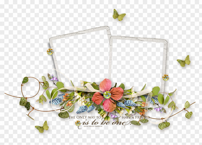 Flower Frame Picture Euclidean Vector PNG