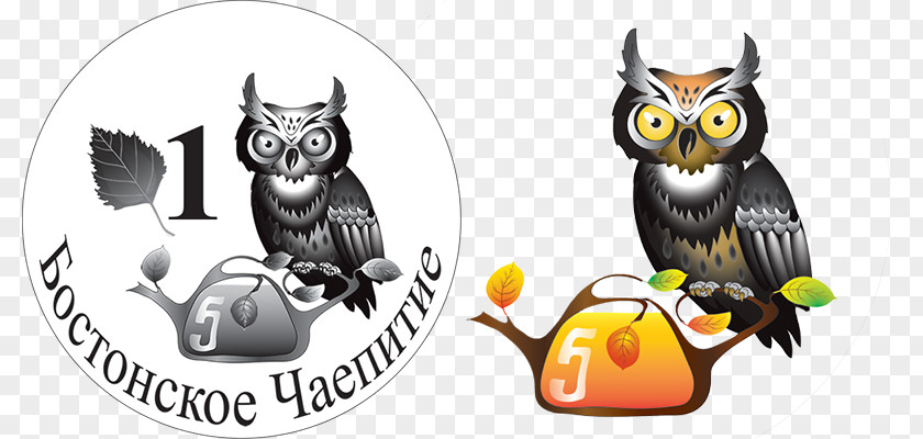 Ivan Tea Owl Animated Cartoon Beak PNG