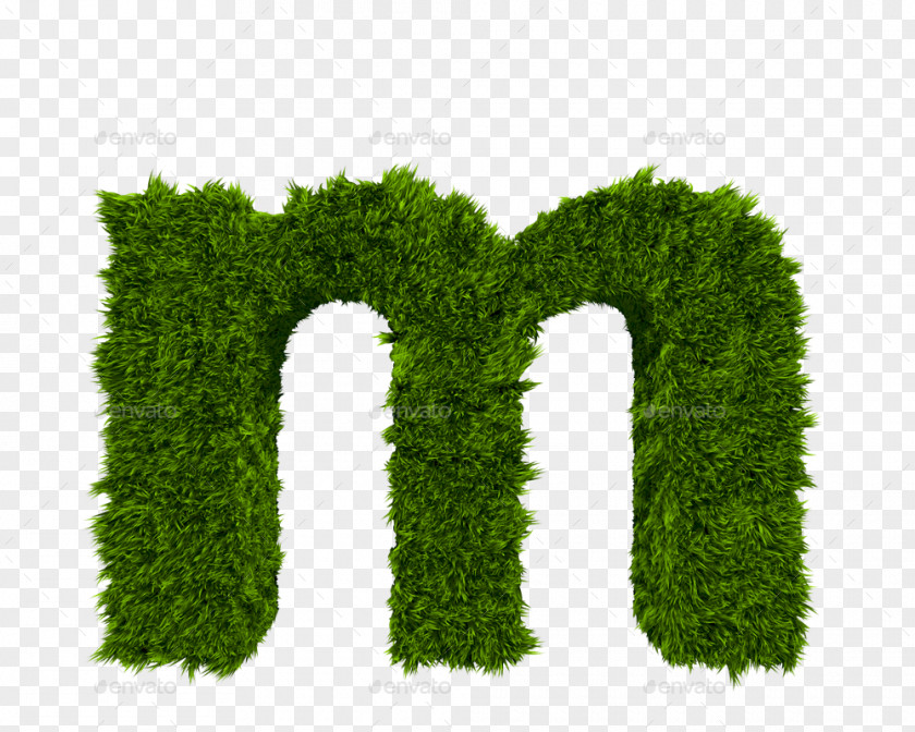 Letter M Case PNG